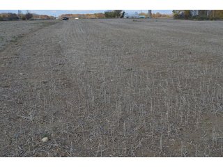 Property photo 65 - 127 Acres Offered in 8 Tracts - Allen & Dekalb County Land